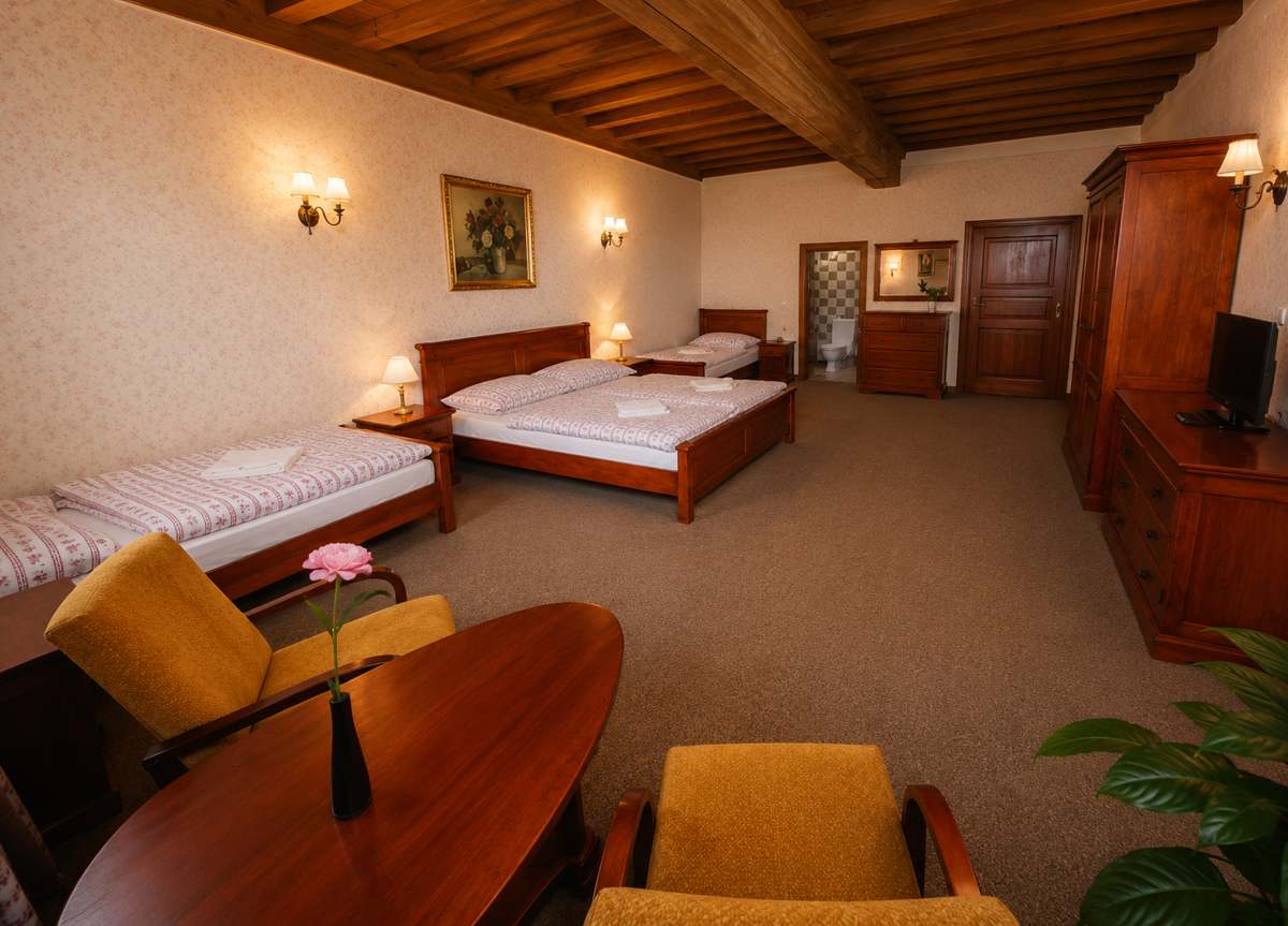 Spacious Deluxe Suite with terrace and river views at Mini Hotel Abraka